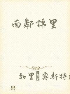 南邻锦里封面