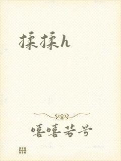 揉揉h封面