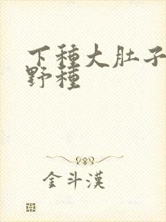 下种大肚子怀孕野种
