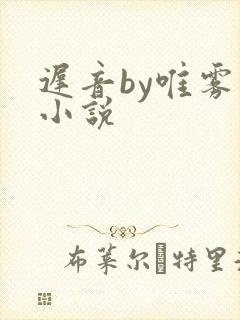 迟音by唯雾的小说