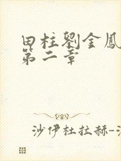 田柱刘金凤小说第二章封面