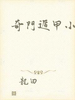 奇门遁甲小说封面