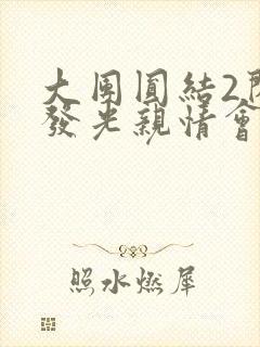 大团圆结2闪闪发光亲情会