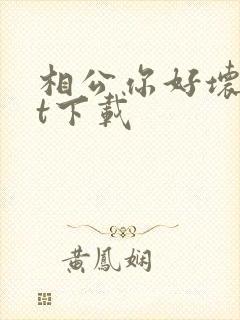 相公你好坏txt下载