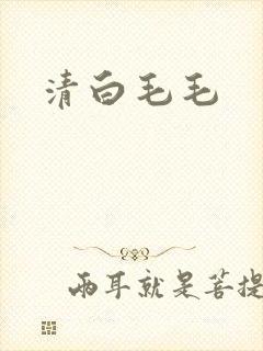 清白毛毛