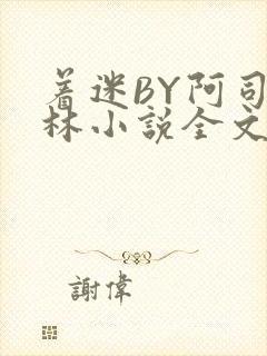 着迷BY阿司匹林小说全文免费阅读