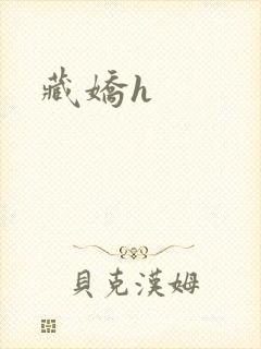 藏娇h封面