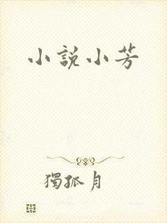 小说小芳