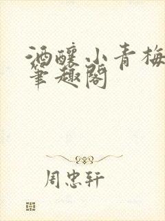酒酿小青梅po笔趣阁