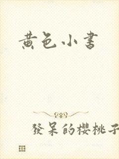 黄色小书