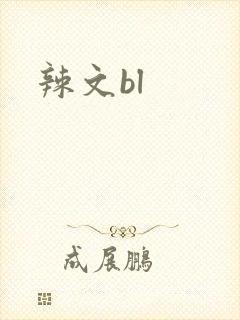 辣文bl封面