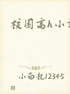 校园高h小说