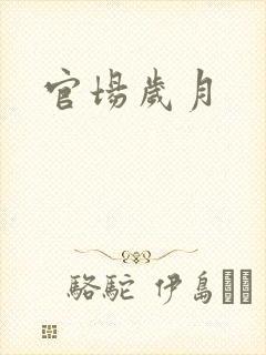 官场岁月