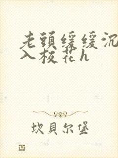 老头缓缓沉腰进入校花h封面