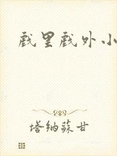 戏里戏外小说