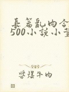 长篇乱肉合集乱500小说小莹封面