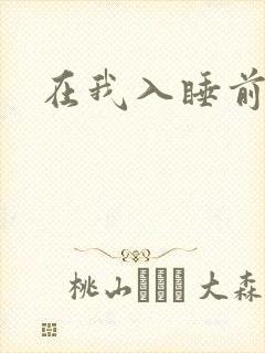 在我入睡前封面