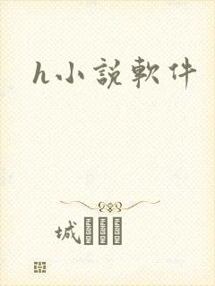 h小说软件