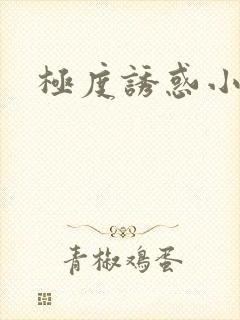 极度诱惑小说