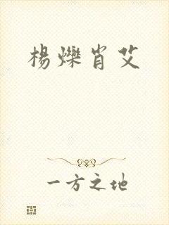 杨烁肖艾