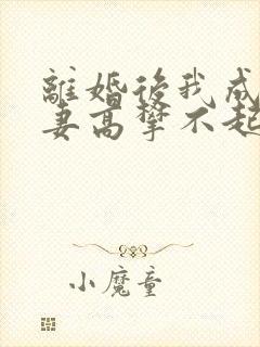 离婚后我成了前妻高攀不起的神封面