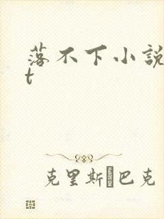落不下小说txt