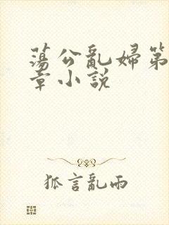 荡公乱妇第51章小说