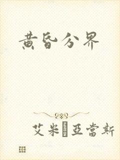 黄昏分界封面