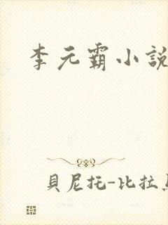 李元霸小说