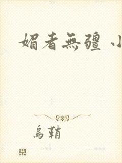 媚者无疆 小说封面