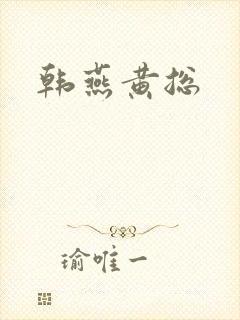 韩燕黄总