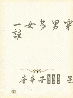一女多男穿越小说封面
