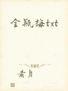金瓶梅txt