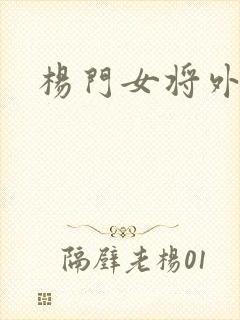 杨门女将外传封面