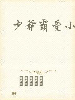 少爷霸爱小丫头封面