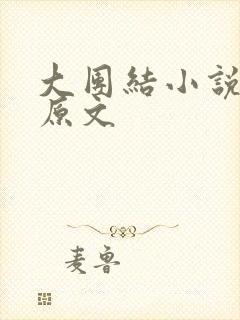 大团结小说阅读原文