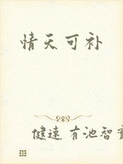 情天可补