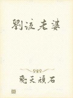 刘流老婆封面