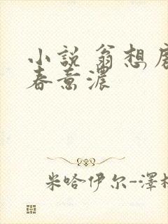 小说 翁想房中春意浓