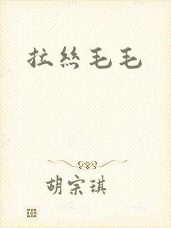 拉丝毛毛