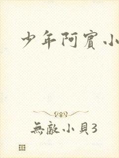 少年阿宾小说