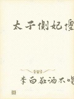 太子侧妃傻乎乎