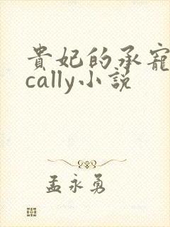 贵妃的承宠日常cally小说封面