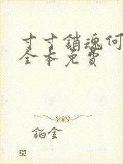 寸寸销魂何生祥全本免费