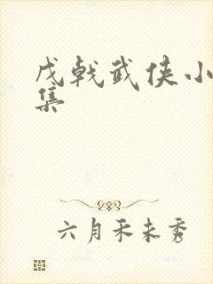 戊戟武侠小说全集