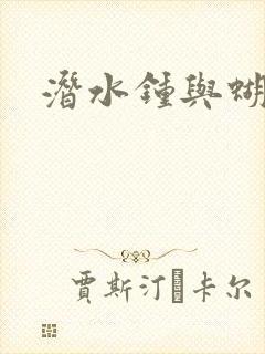 潜水钟与蝴蝶