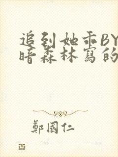 追到她乖BY黑暗森林写的小说