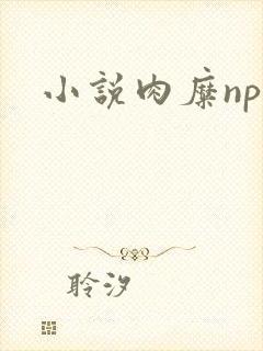小说肉糜np