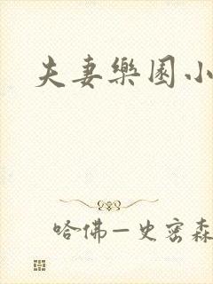 夫妻乐园小说