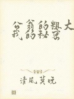 公翁的粗大放进我的秘密
